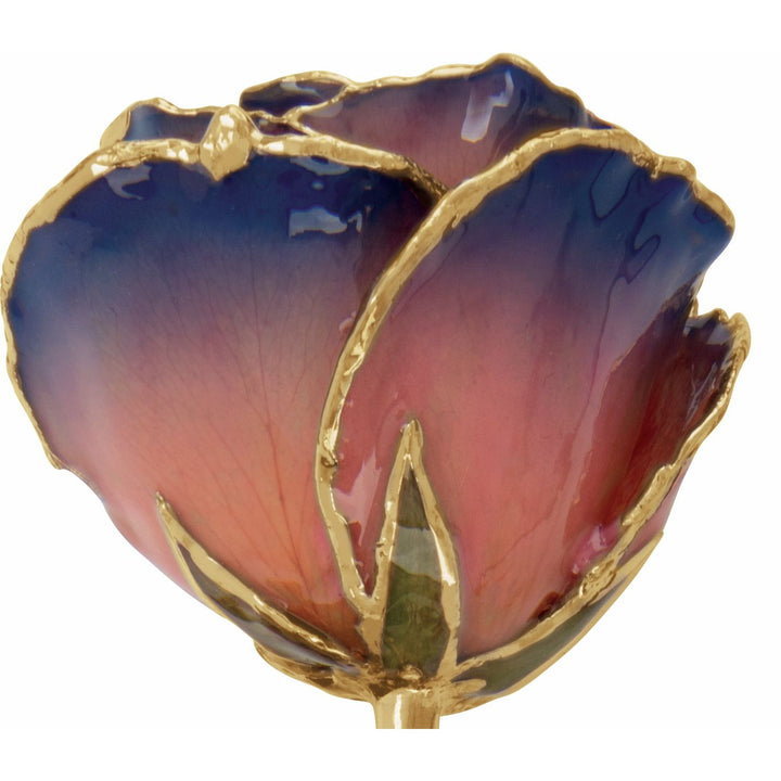 Lacquered Purple & Pink Rose with Gold Trim