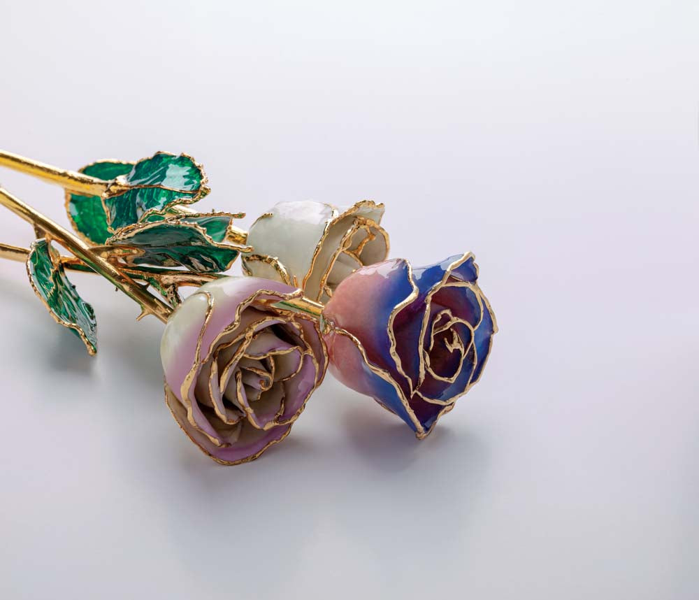 Lacquered Ombre Rose with gold trim- cream Picasso and purple & pink rose.