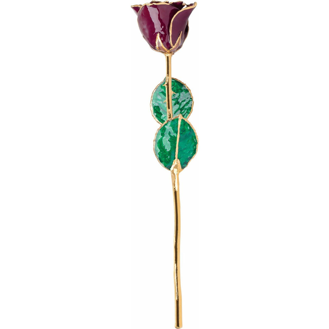 Lacquered Burgundy Rose With Gold Trim