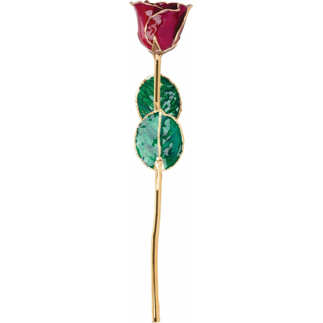 Lacquered Garnet Rose with Gold Trim January Birthstone