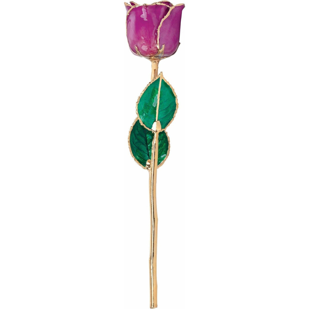 Lacquered Amethyst Colored Rose With Gold Trim February Birthstone