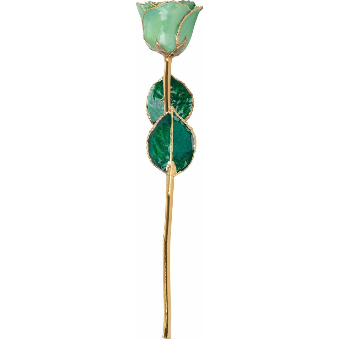 Lacquered Peridot Rose with Gold Trim August Birthstone