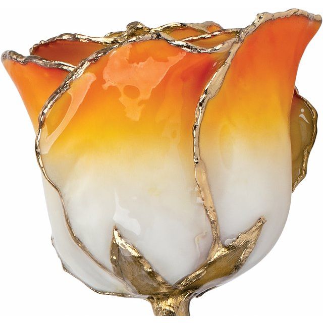 Lacquered Cream Orange Rose With Gold Trim