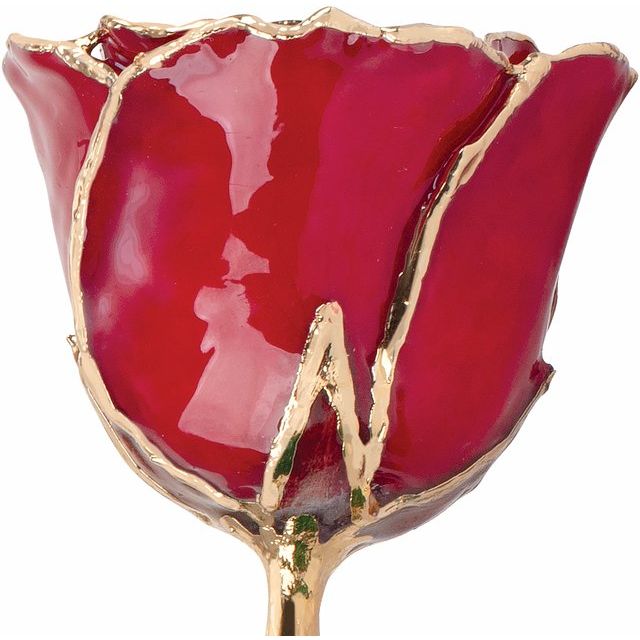 Lacquered Ruby Rose with Gold Trim July Birthstone