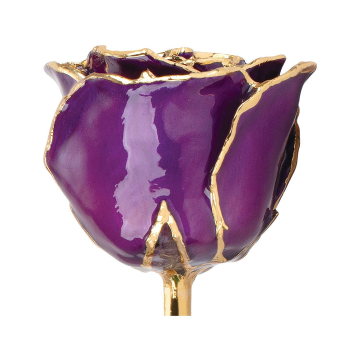 Lacquered Purple Rose With Gold Trim