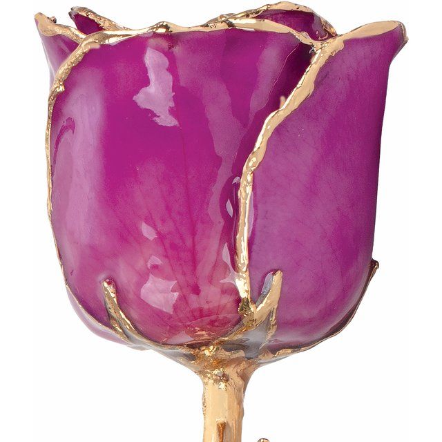 Lacquered Amethyst Colored Rose With Gold Trim February Birthstone