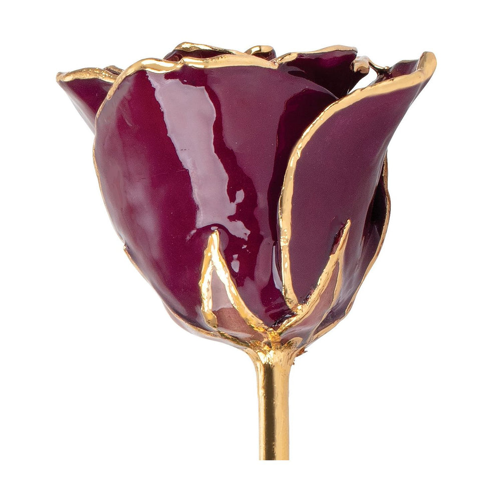Lacquered Burgundy Rose With Gold Trim