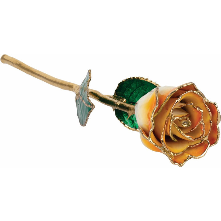 Lacquered Cream Orange Rose With Gold Trim